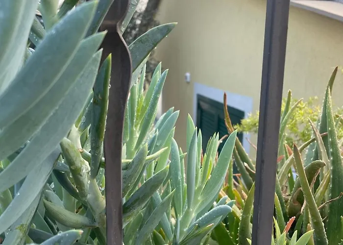 Hébergement de vacances Maison Du Charme *